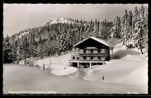 AK Waidring /Tirol, Alpengasthof Steinplatte Schreder, Winteransicht