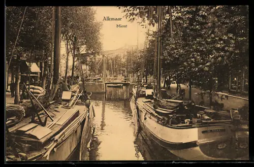 AK Alkmaar, Mient