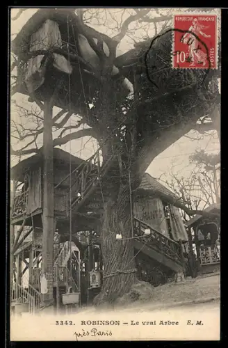 AK Robinson, Le vrai Arbre