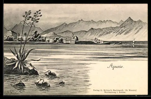 AK Ajaccio, Küstenansicht mit Stadtsilhouette