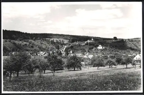 Fotografie unbekannter Fotograf, Ansicht Aura / Saale, Panorama der Ortschaft
