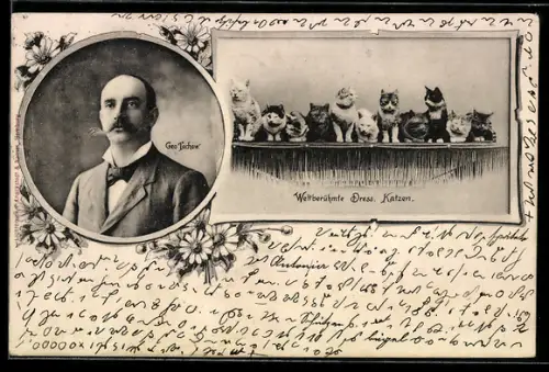AK Dressierte Katzen mit Dresseur Geo Techow