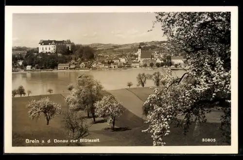 AK Grein a. d. Donau, Schloss und Kirche zur Blütezeit