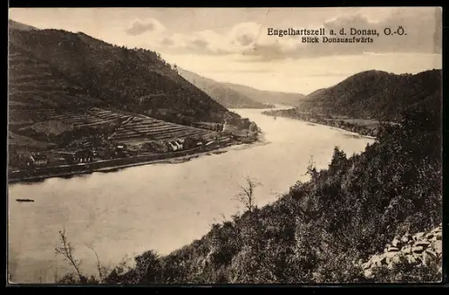 AK Engelhartszell a. d. Donau, Blick Donauaufwärts