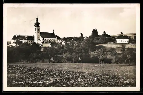 AK Münzbach /O. D., Blick auf die Kirche vom Feld aus