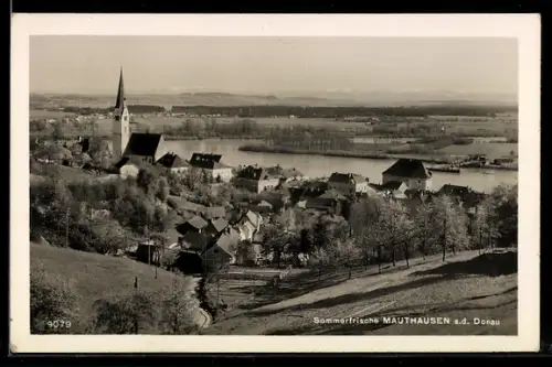 AK Mauthausen a. d. Donau, Teilansicht mit Kirche