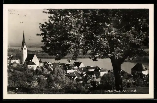 Foto-AK Mauthausen, Teilansicht vom Berg aus