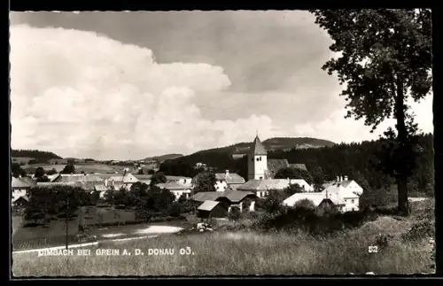 AK Dimbach bei Grein, Teilansicht mit Kirche