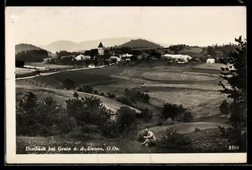 AK Dimbach bei Grein, Panorama mit Kirche