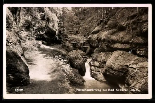 AK Bad Kreuzen /Ob.-Do., Fleischanderlweg