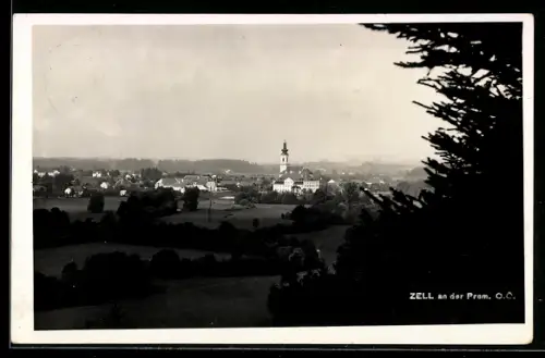 AK Zell an der Pram, Teilansicht mit Kirche