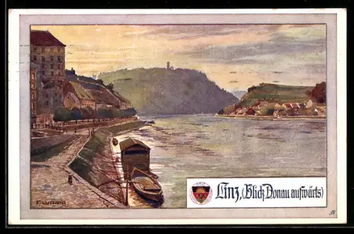 Künstler-AK Deutscher Schulverein Nr. 487: Linz, Blick Donau aufwärts