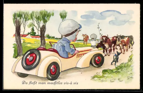 AK Einem Autofahrer kommt eine Rinderherde entgegen