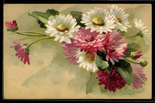Künstler-AK Catharina Klein: Strauss Gerbera in verschiedenen Farben