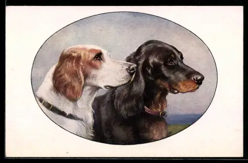 Künstler-AK M. Munk Nr. 1219: Jagdhunde mit treuem Blick, Passepartout