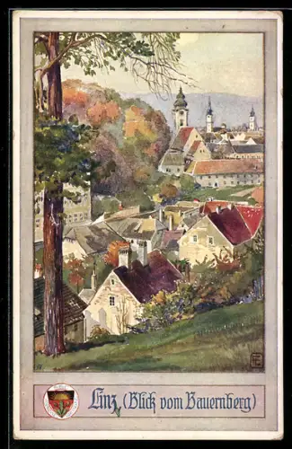 Künstler-AK Linz a. d. Donau, Ortspartie mit Kirchtürmen, Deutscher Schulverein