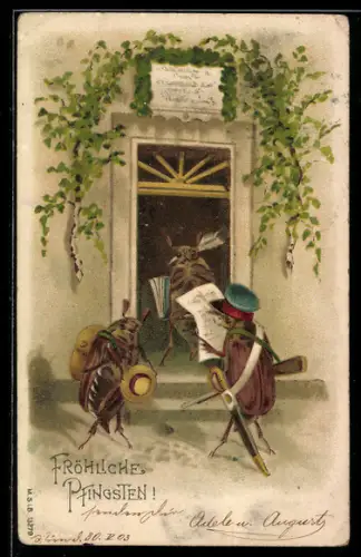 Lithographie Maikäfer in offizieller Mission, Pfingstgruss