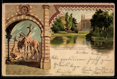 Lithographie Berlin, Zoologischer Garten, Im Antilopenhaus