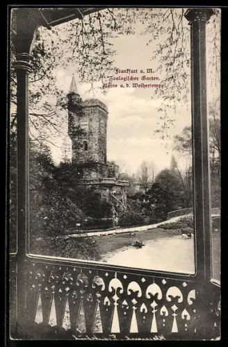 AK Frankfurt a. M., Zoologischer Garten, Ruine a. d. Weihertempel