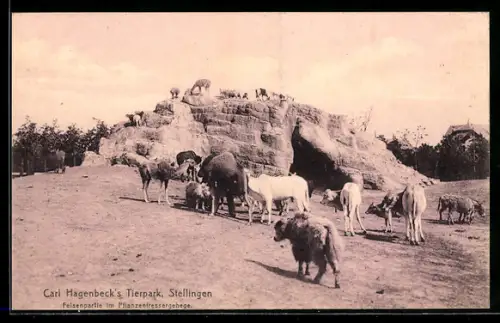 AK Stellingen, Carl Hagenbeck`s Tierpark, Felsenpartie im Pflanzenfressergehege