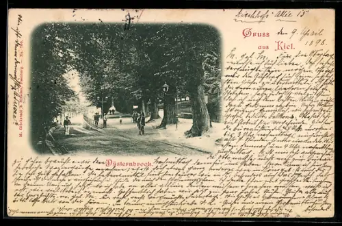 AK Kiel, Düsternbrook, Allee mit Spaziergängern