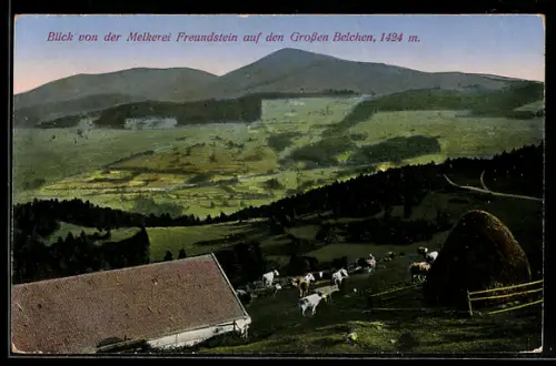 AK Gr. Belchen, Blick von der Melkerei Freundstein auf den Grossen Belchen