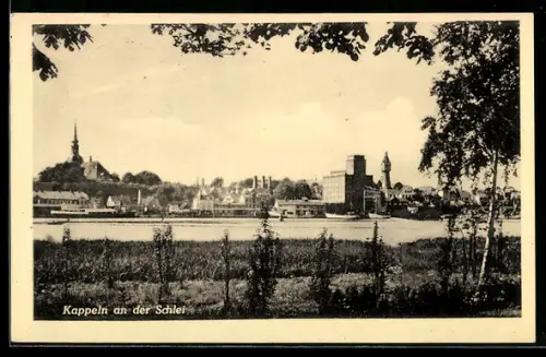 AK Kappeln an der Schlei, Ortsansicht von der Schlei aus