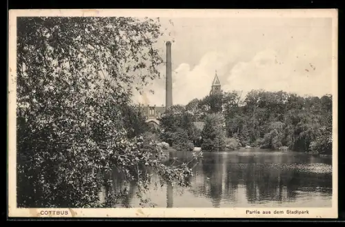 AK Cottbus, Partie aus dem Stadtpark