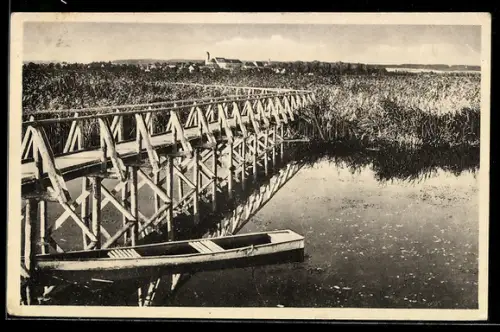 AK Buchau a. F., Federsesteg, Brücke, Boot, Schilflandschaft, Ort