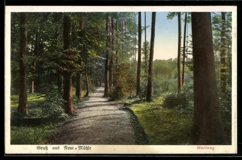 AK Königswusterhausen, Waldweg beim Gasthaus Neue Mühle