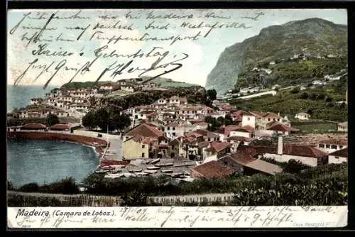 AK Camara de Lobos /Madeira, Blick auf Hafen und Ort