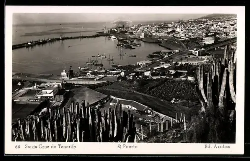 AK Santa Cruz de Tenerife, El Puerto
