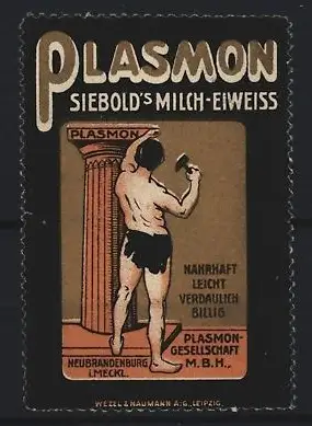 Reklamemarke Neubrandenburg, Plasmon, Siebold`s Milch-Eiweiss, Mann mit Hammer
