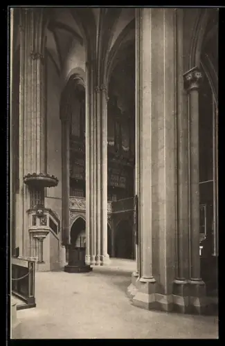 AK Meissen, Orgel im Dom
