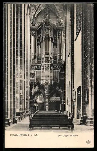 AK Frankfurt a. M., Die Orgel im Dom