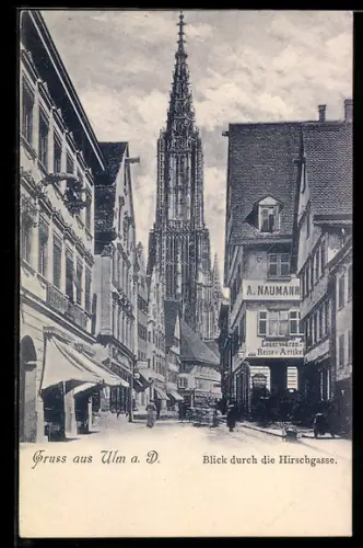 AK Ulm a. D., Strasse Hirschgasse mit Lederwaren-Geschäft A. Naumann und Kirche