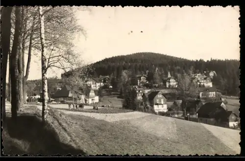 AK Bärenfels, Ortsansicht, Wald, Hügel