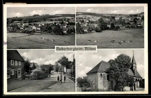 AK Niederbergheim /Möhne, Kirche, Strassenpartie, Ortspartie mit Kühen
