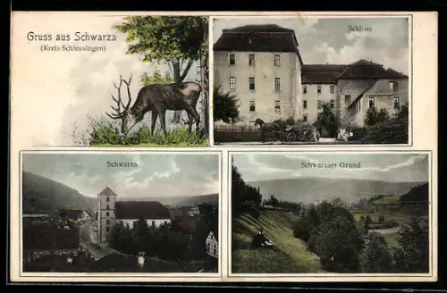 AK Schwarza, Schloss, Schwarzaer Grund, Teilansicht aus der Vogelschau