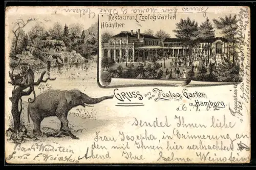 Lithographie Hamburg, Zoologischer Garten, Affen, Elefant, Vogelteich