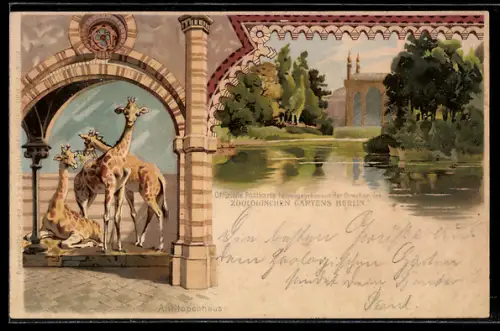 Lithographie Berlin, Zoologischer Garten, Im Antilopenhaus