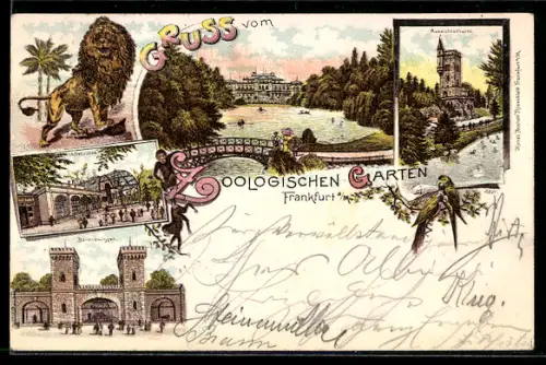 Lithographie Frankfurt / Main, Zoologischer Garten, Bärenzwinger, Aussichtsturm