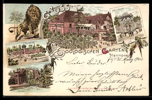 Lithographie Hannover, Zoologischer Garten, Kamelhaus, Affenhaus, Felsen