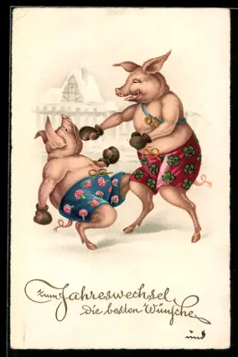 AK Zwei Schweine beim Boxkampf