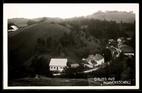 AK Altenfelden /O.-Oe., Gruss aus Hühnergschrei, Strassenpartie