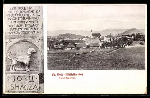 AK St. Veit im Mühlkreis, Totalansicht mit Hundedenkmal