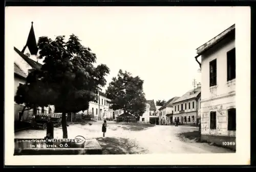 AK Weitersfelden im Mühlkreis, Strassenpartie