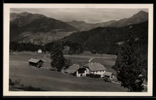 AK Greifenburg /Kärnten, Kreuzberg, Gehöfte mit Bergpanorama