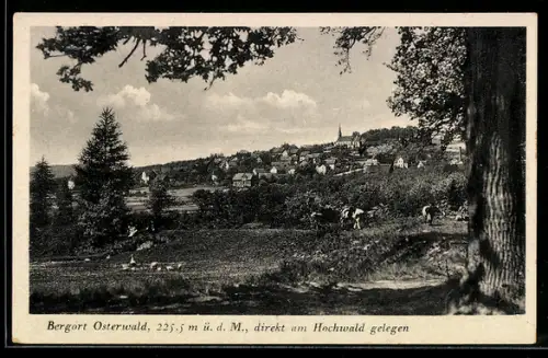 AK Osterwald, Blick auf den Ort, Kühe
