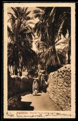 AK Tripolitania, Vicolo fra le palme a Ghadames